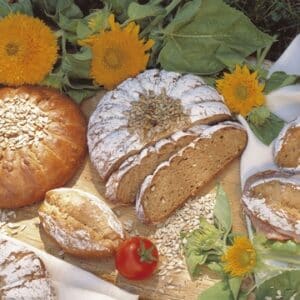 Sunflower Mix