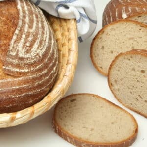 Ferment Soft